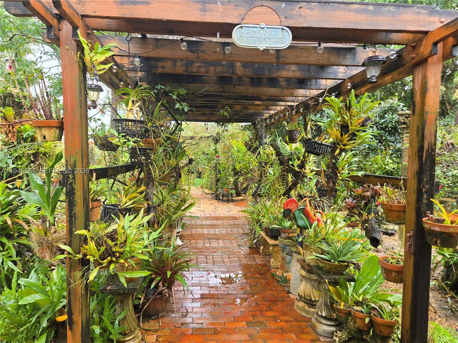 6250 Southwest 19th Street Miami, FL 33155 - Photo 26 of 35 a close up of a plant in a garden