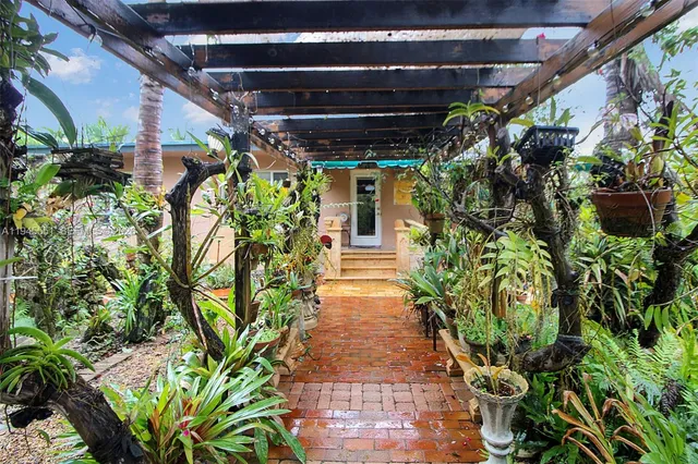 a view of a garden with plants