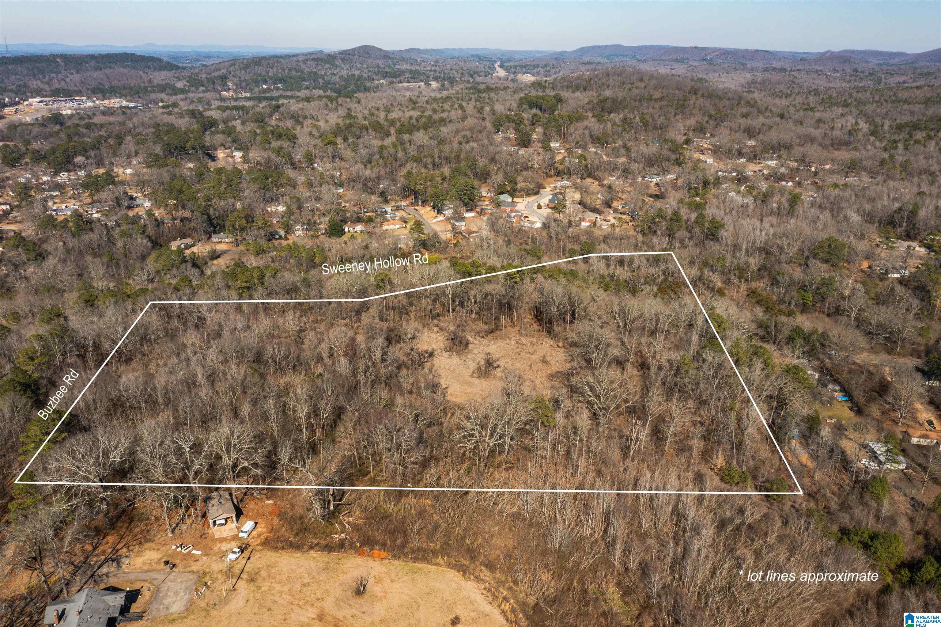 4392 Buzbee Road, Unit 1 Pinson, AL 35126 - Photo 4 of 27