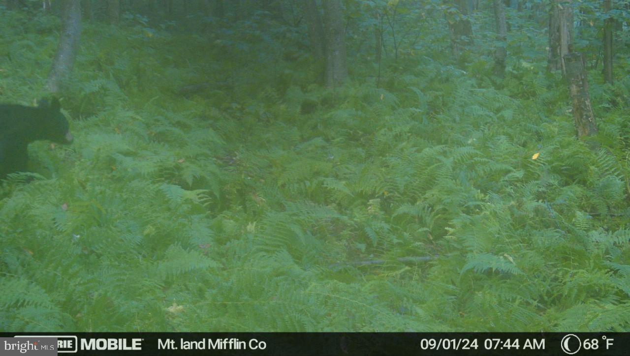 0 Carlisle Gap Road Lewistown, PA 17044 - Photo 38 of 53