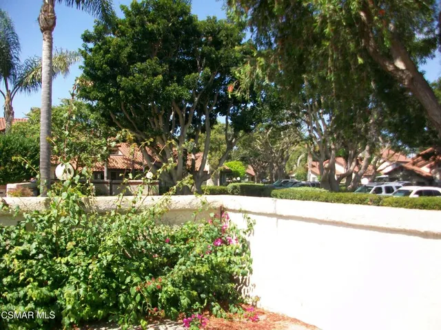 a view of a yard with flower plants