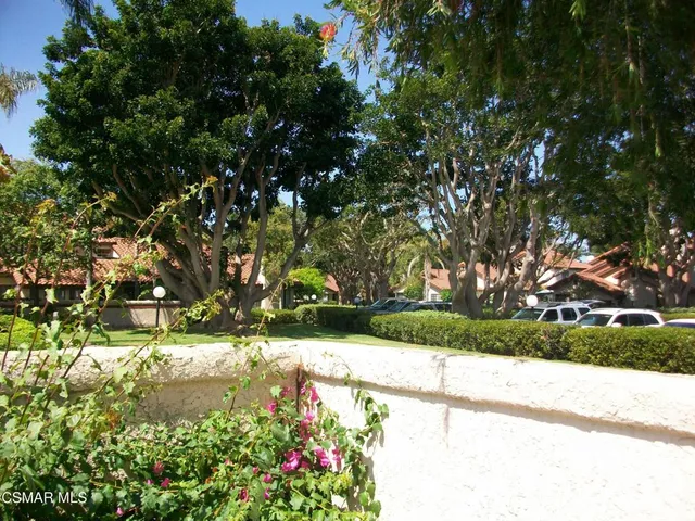 a view of backyard with tree