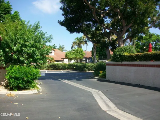 a view of a street with potted plants and large trees