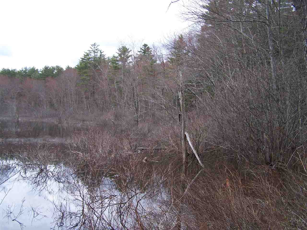Freedom Point Road Freedom, NH 03836 - Photo 16 of 18
