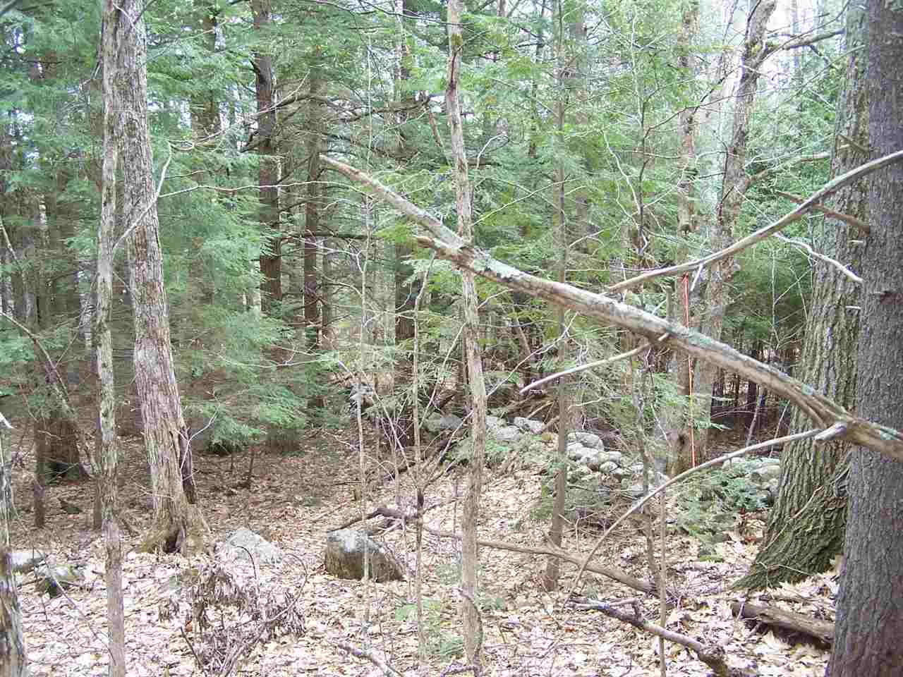 Freedom Point Road Freedom, NH 03836 - Photo 5 of 18
