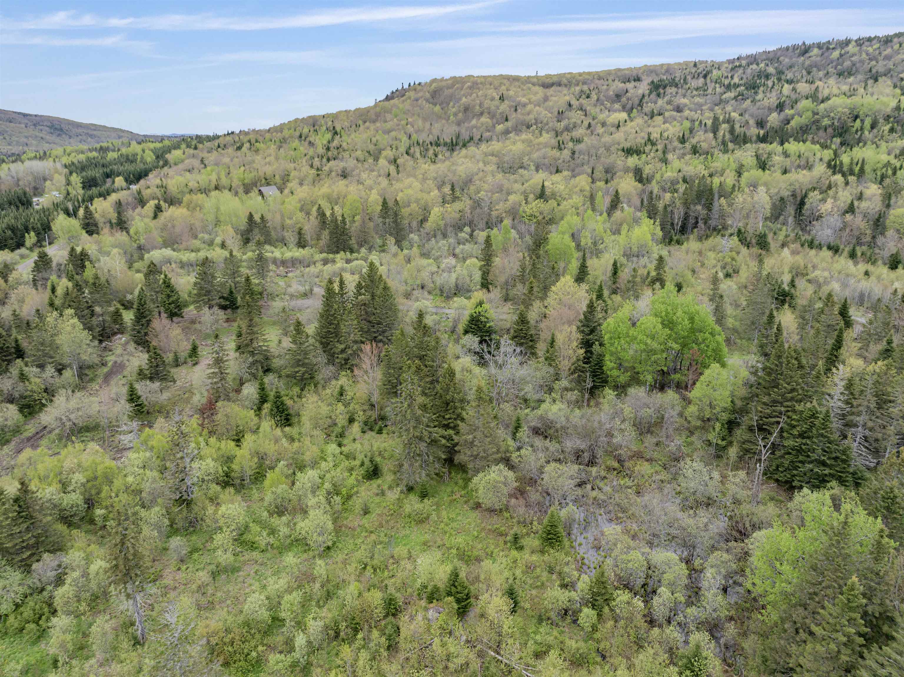 Lot 8 Holden Hill Road Stewartstown, NH 03576 - Photo 11 of 12