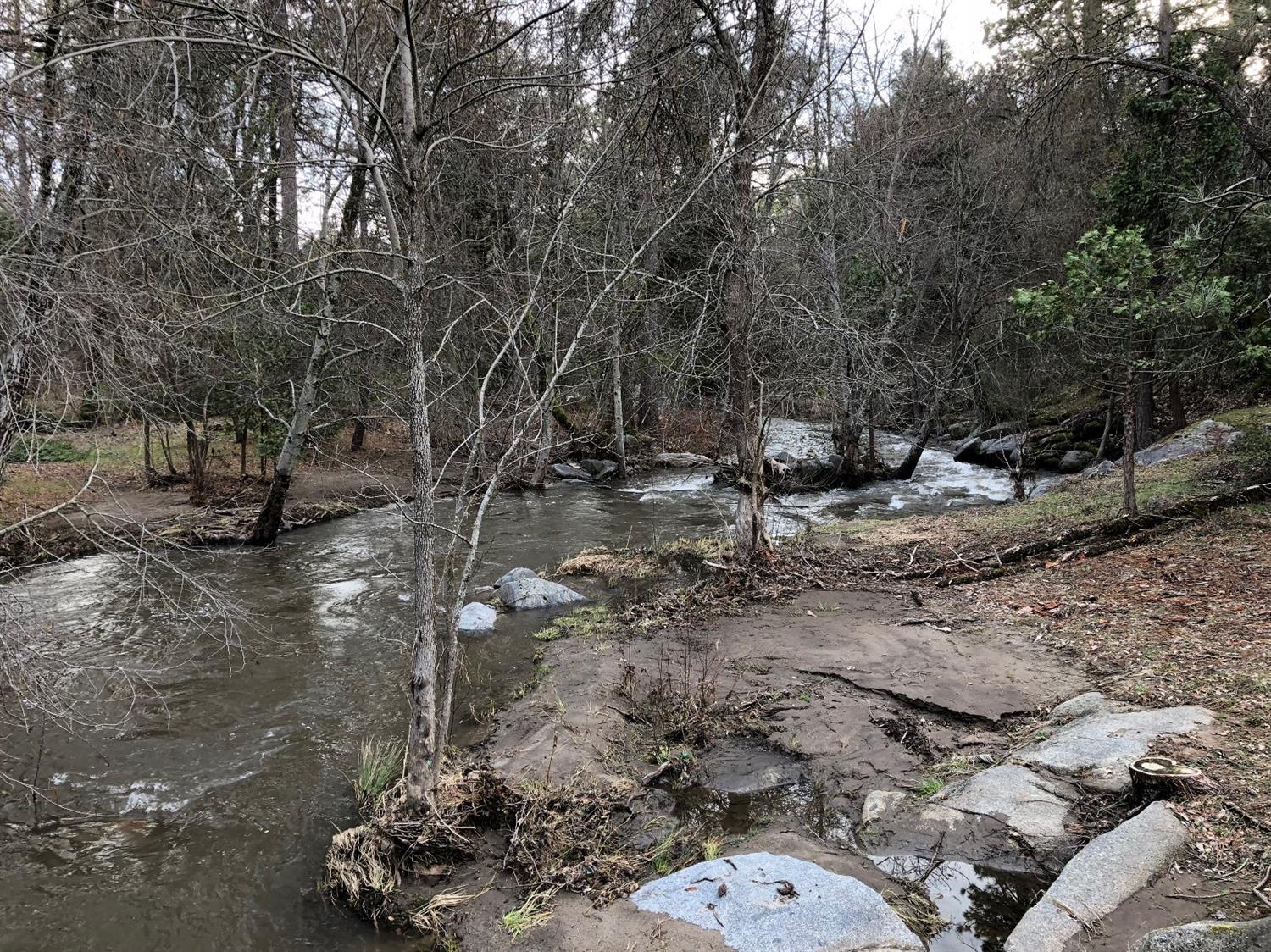 42618 Springwood Road Oakhurst, CA 93644 - Photo 6 of 12 Gallery Image 6