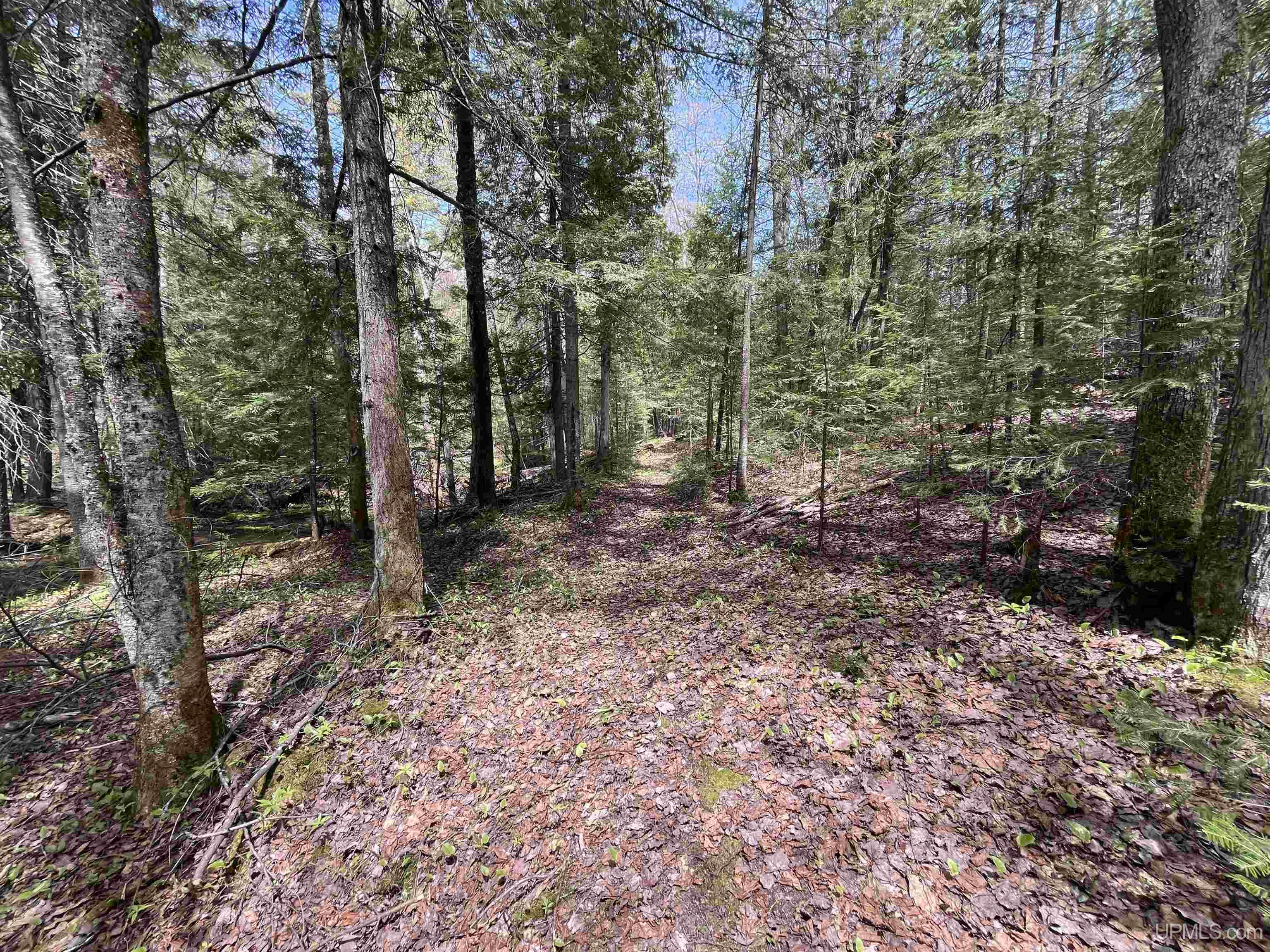 38-acres County Rd NA Road Marquette, MI 49855 - Photo 47 of 70