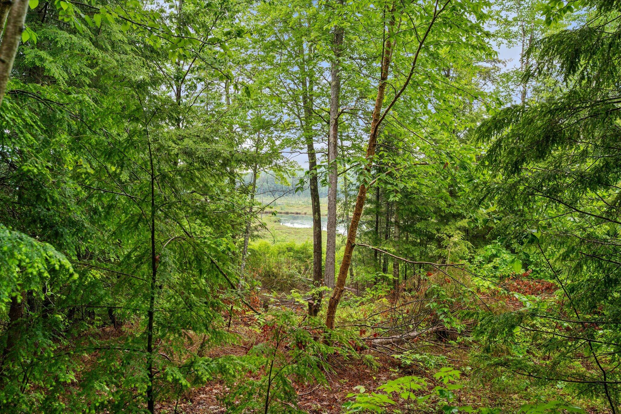 104 Drake Pond Road Jackson, ME 04921 - Photo 22 of 31 22-104 Drake Pond Rd