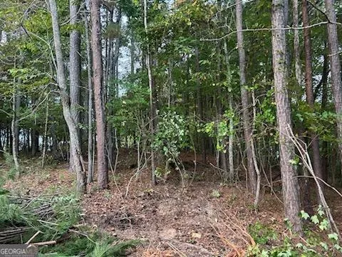 $18,000 | 21 Skyline Drive, Braswell, GA 30153