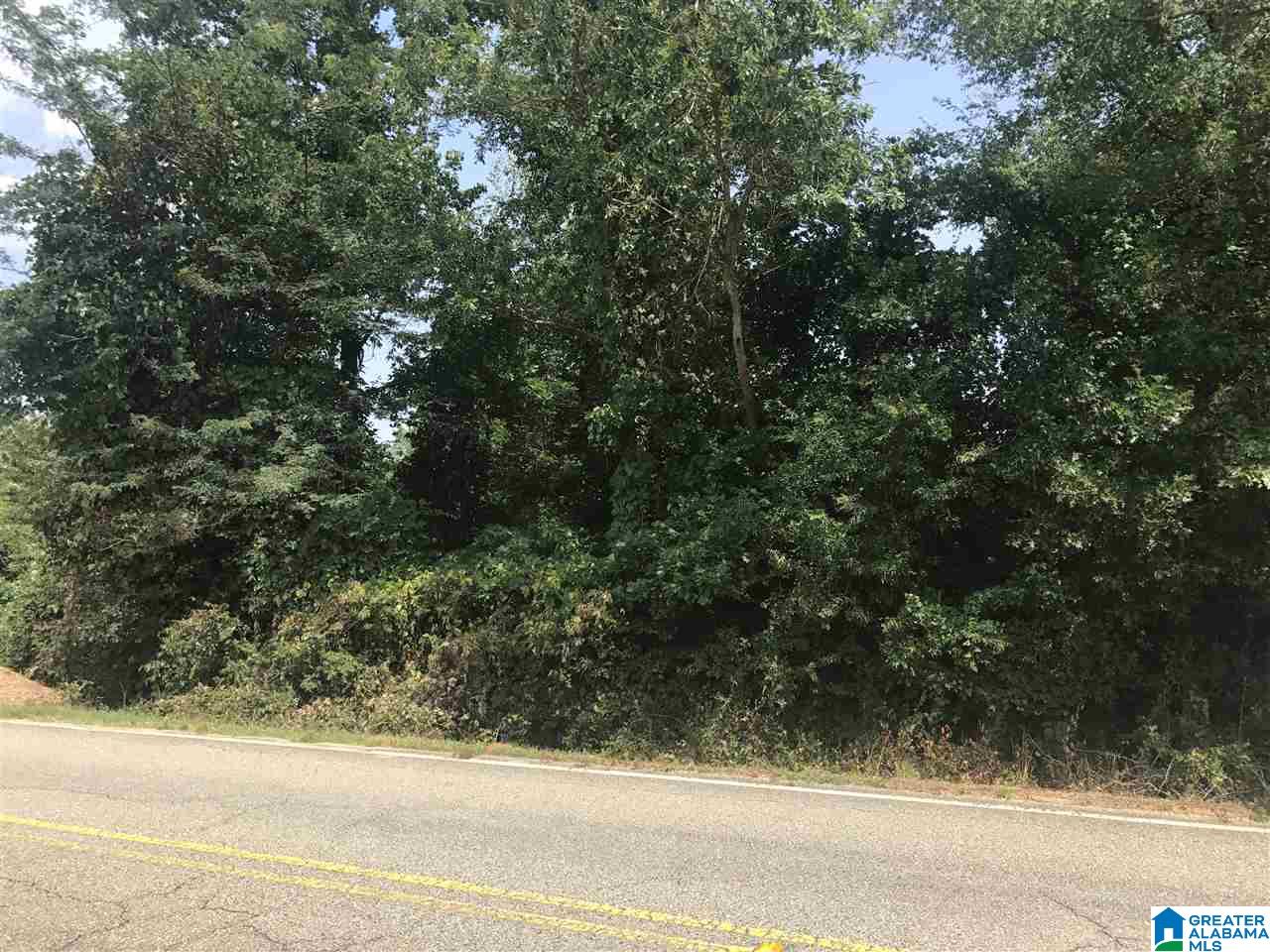 River Bend Road, Unit 2 West Blocton, AL 35184 - Photo 1 of 10