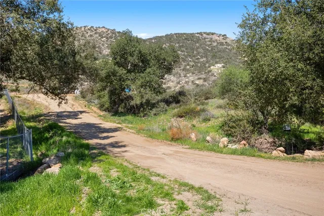 a view of a yard with a tree