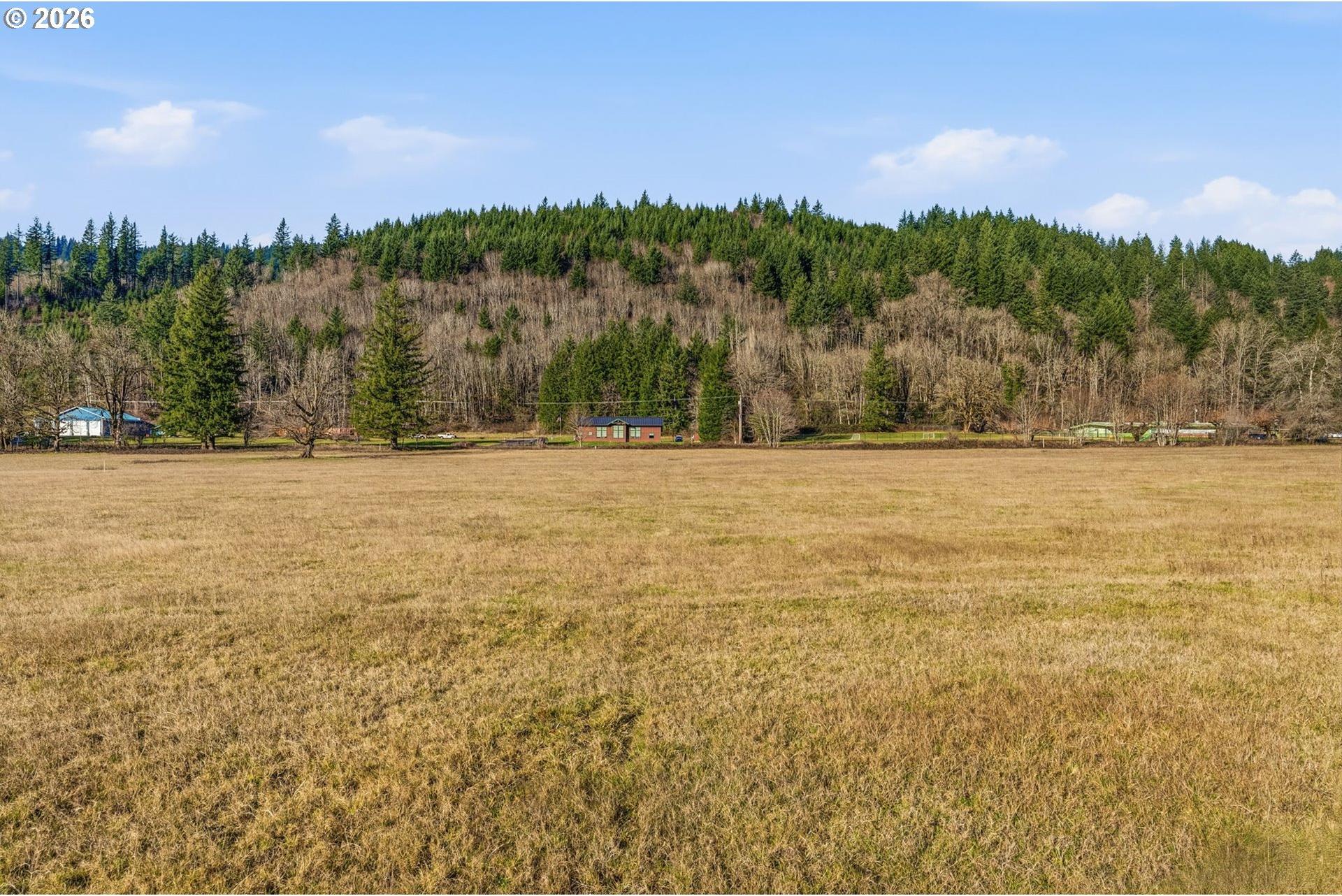 173 Sawmill Road, Unit 2 Ariel, WA 98603 - Photo 4 of 10 Gallery Image 4