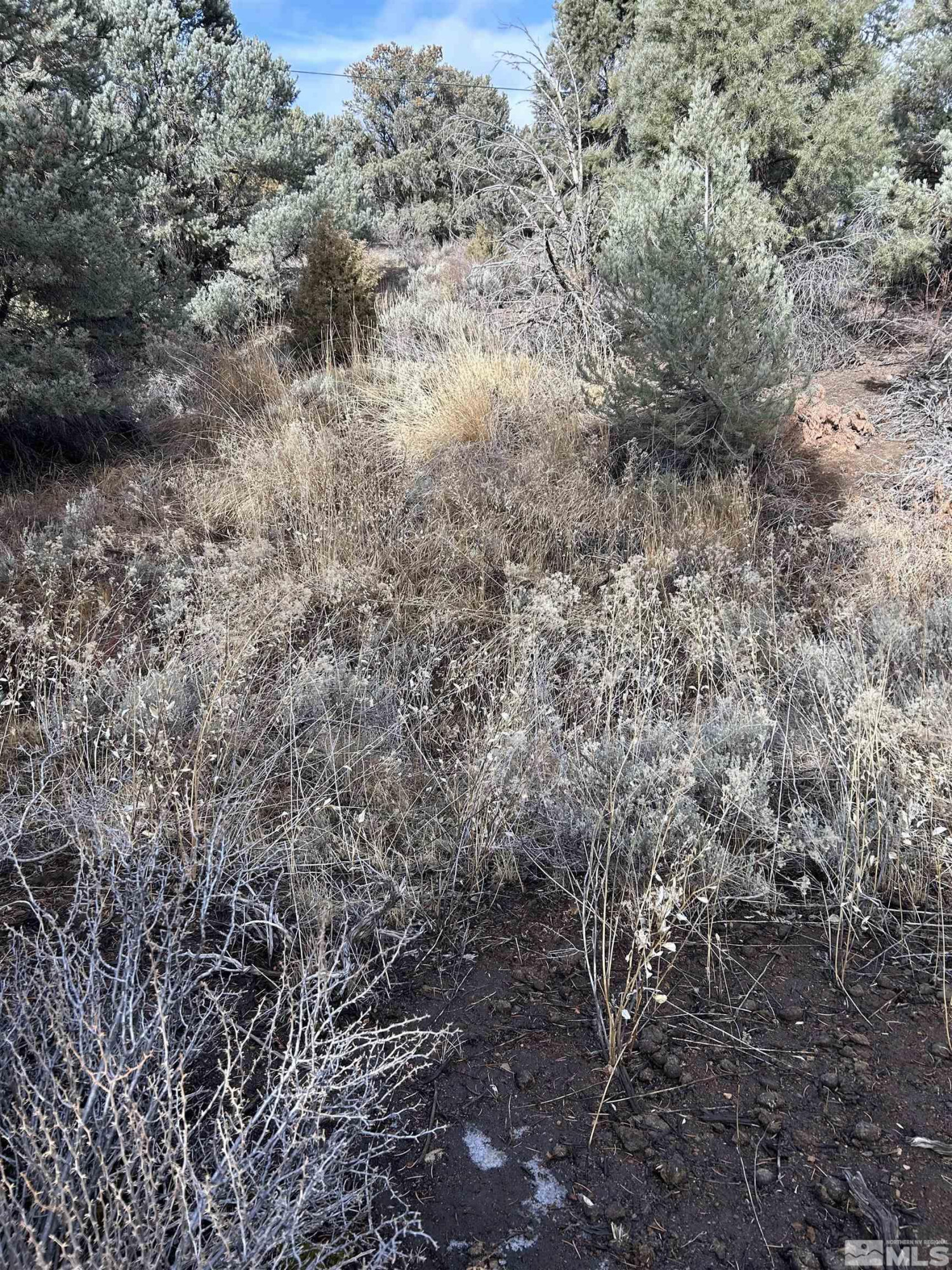 1825 Empire Road Reno, NV 89521 - Photo 3 of 7 Photo 3