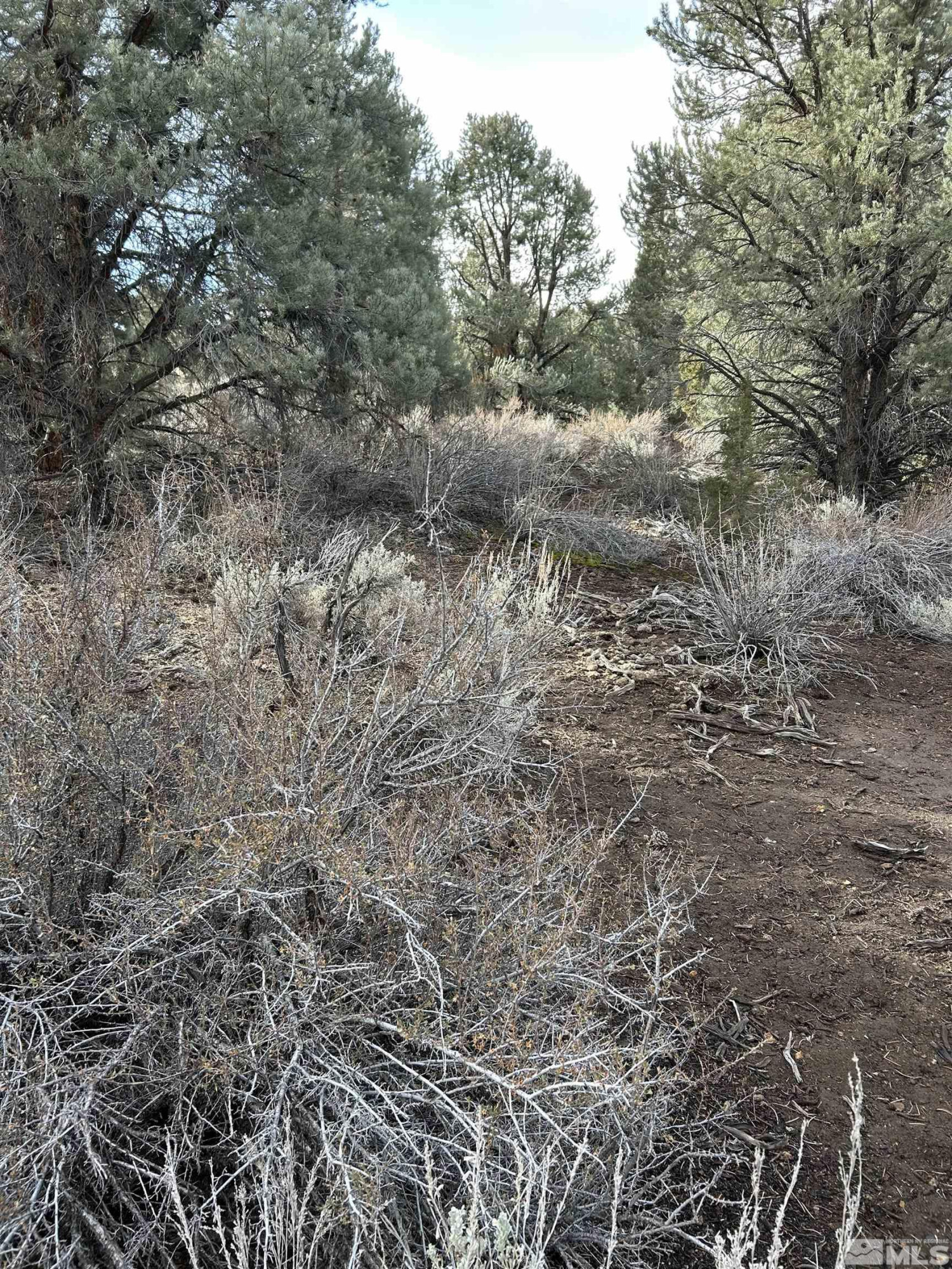 1825 Empire Road Reno, NV 89521 - Photo 4 of 7 Photo 4