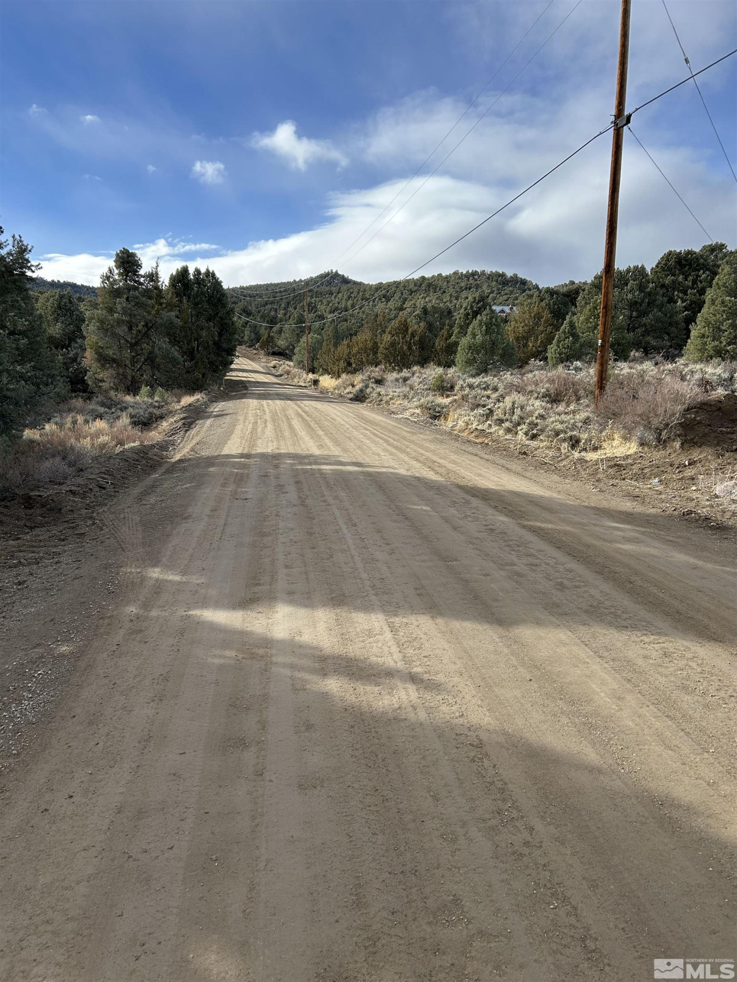 1825 Empire Road Reno, NV 89521 - Photo 5 of 7 Photo 5