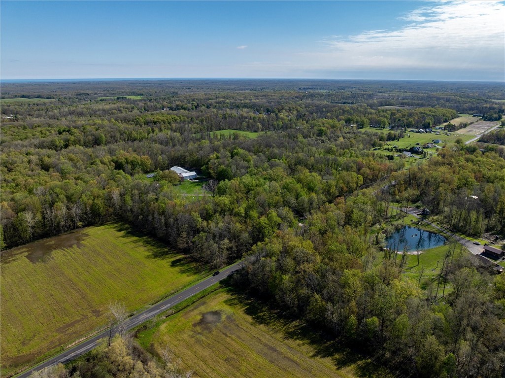 16126 Telegraph Road Murray, NY 14470 - Photo 24 of 50