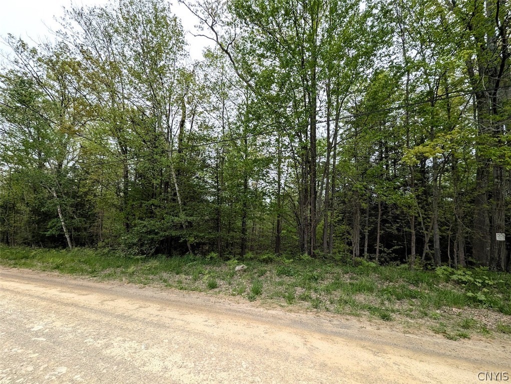 Stewart Road Addison, NY 14801 - Photo 24 of 29