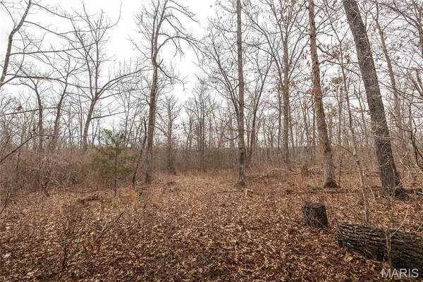 $276,000 | 33223 Maries Road 503, Dixon, MO 65459