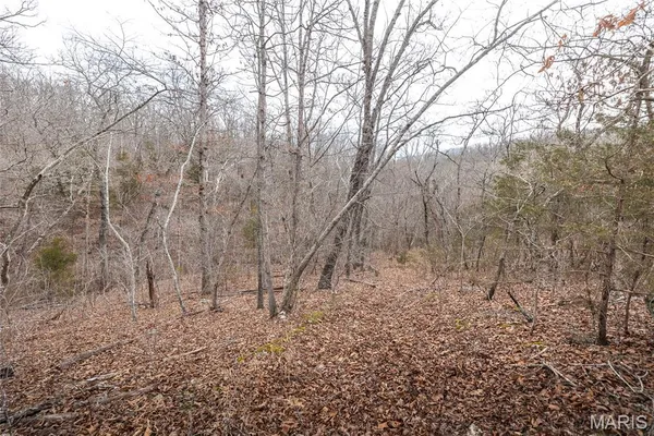 $276,000 | 33223 Maries Road 503, Dixon, MO 65459