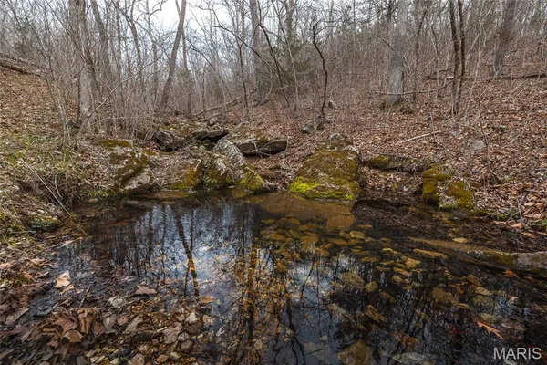 $276,000 | 33223 Maries Road 503, Dixon, MO 65459