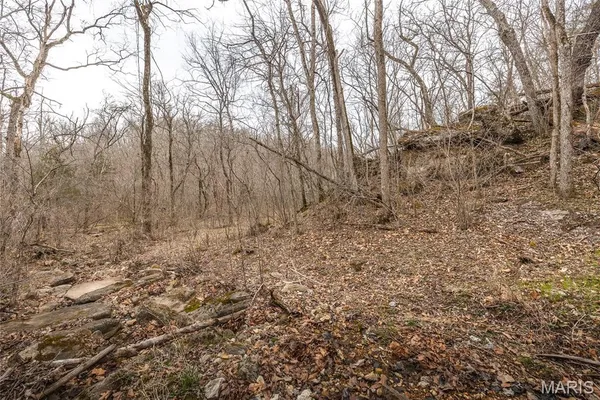 $276,000 | 33223 Maries Road 503, Dixon, MO 65459