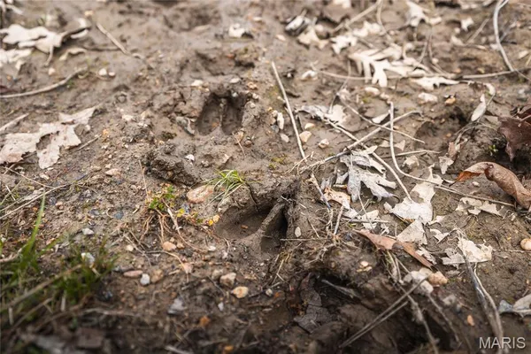 $276,000 | 33223 Maries Road 503, Dixon, MO 65459