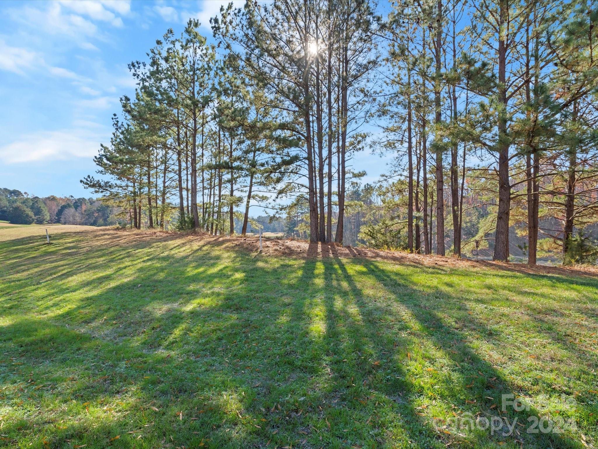 1036 Silver Gull Drive Fort Mill, SC 29708 - Photo 42 of 48