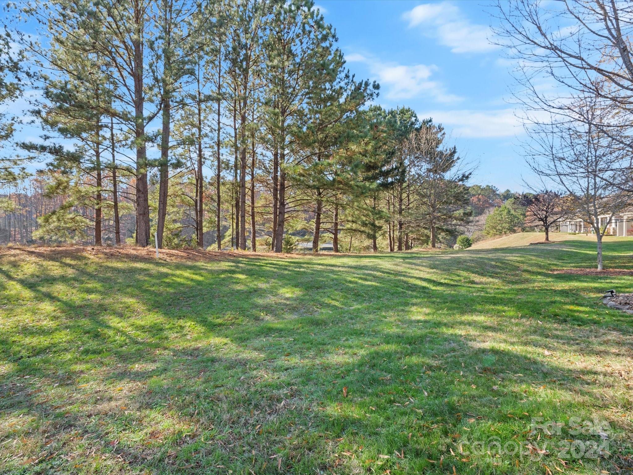 1036 Silver Gull Drive Fort Mill, SC 29708 - Photo 43 of 48