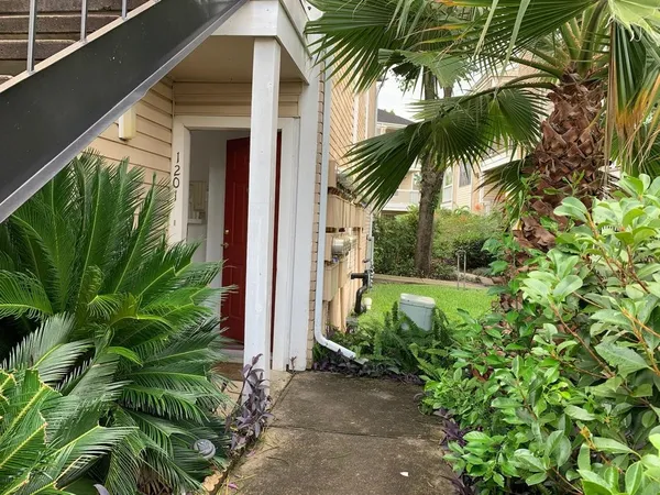 a view of a palm plant that is in front of house