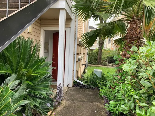 a view of a palm plant that is in front of house