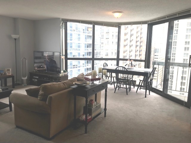 33 West Delaware Place, Unit 18B Chicago, IL 60610 - Photo 3 of 9