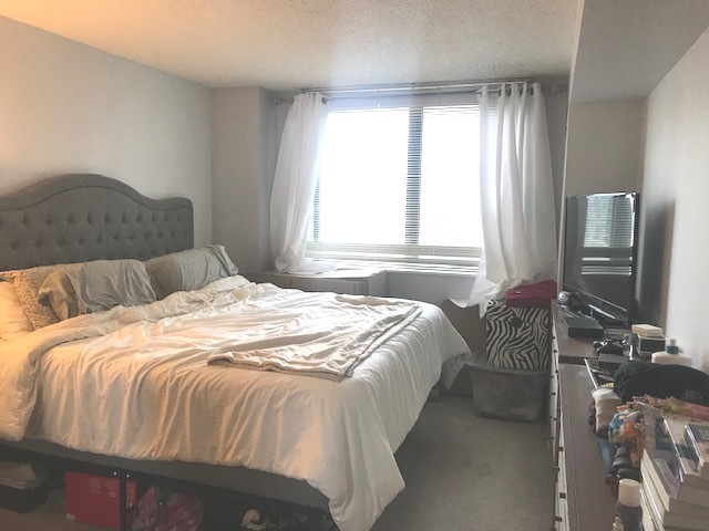 33 West Delaware Place, Unit 18B Chicago, IL 60610 - Photo 5 of 9