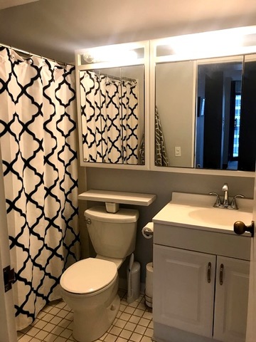 33 West Delaware Place, Unit 18B Chicago, IL 60610 - Photo 6 of 9