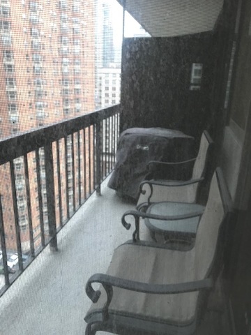 33 West Delaware Place, Unit 18B Chicago, IL 60610 - Photo 8 of 9