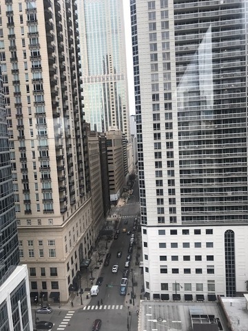 33 West Delaware Place, Unit 18B Chicago, IL 60610 - Photo 9 of 9