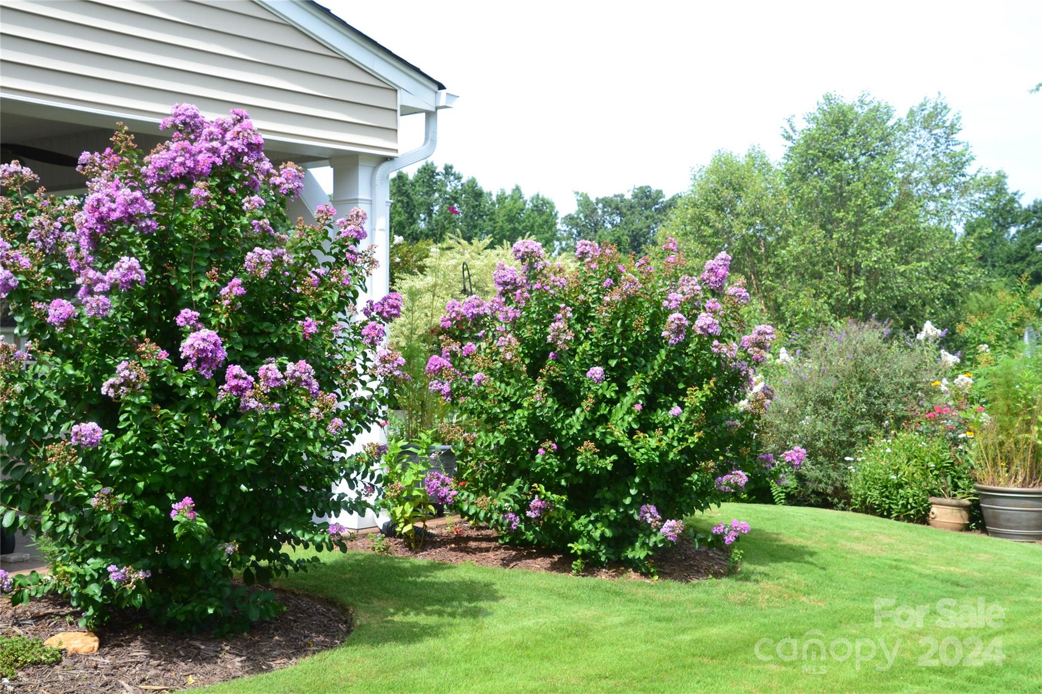 3359 Merchant Lane Davidson, NC 28036 - Photo 37 of 48 a view of a house with a big yard and potted plants