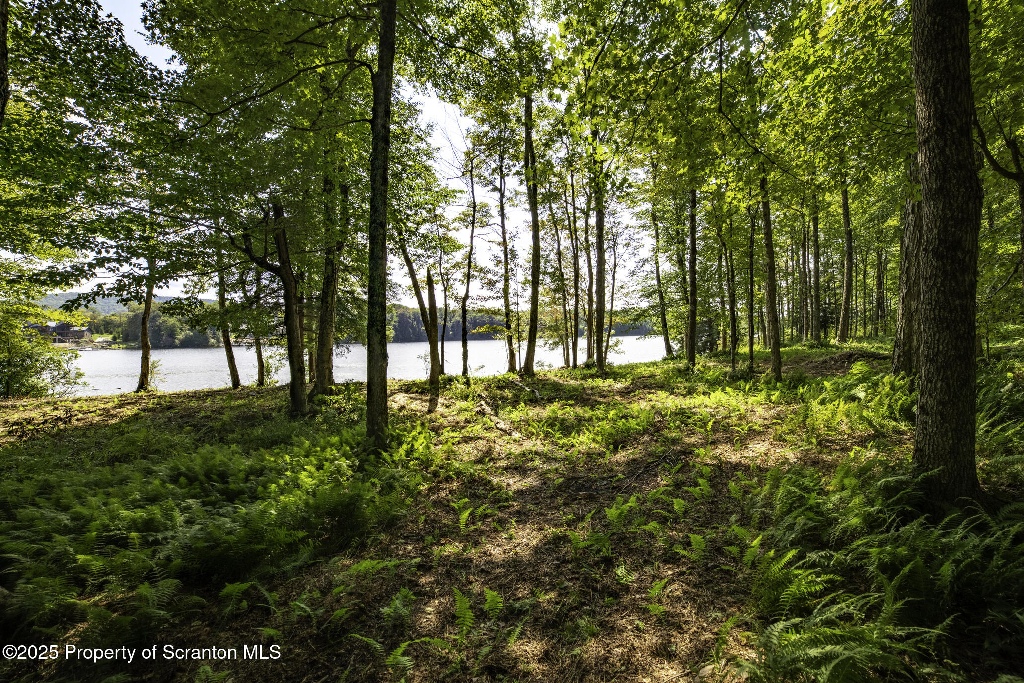 Lot 2 Dunn Lane Thompson, PA 18465 - Photo 11 of 23 Lot 2C lakefront