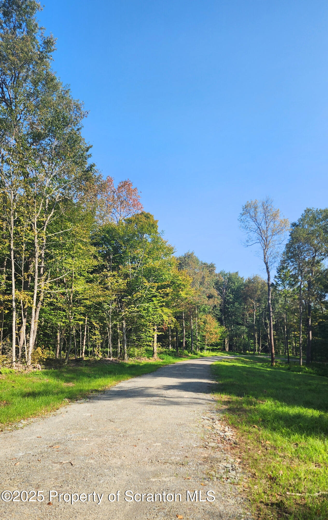 Lot 2 Dunn Lane Thompson, PA 18465 - Photo 14 of 23 Dunn Lane