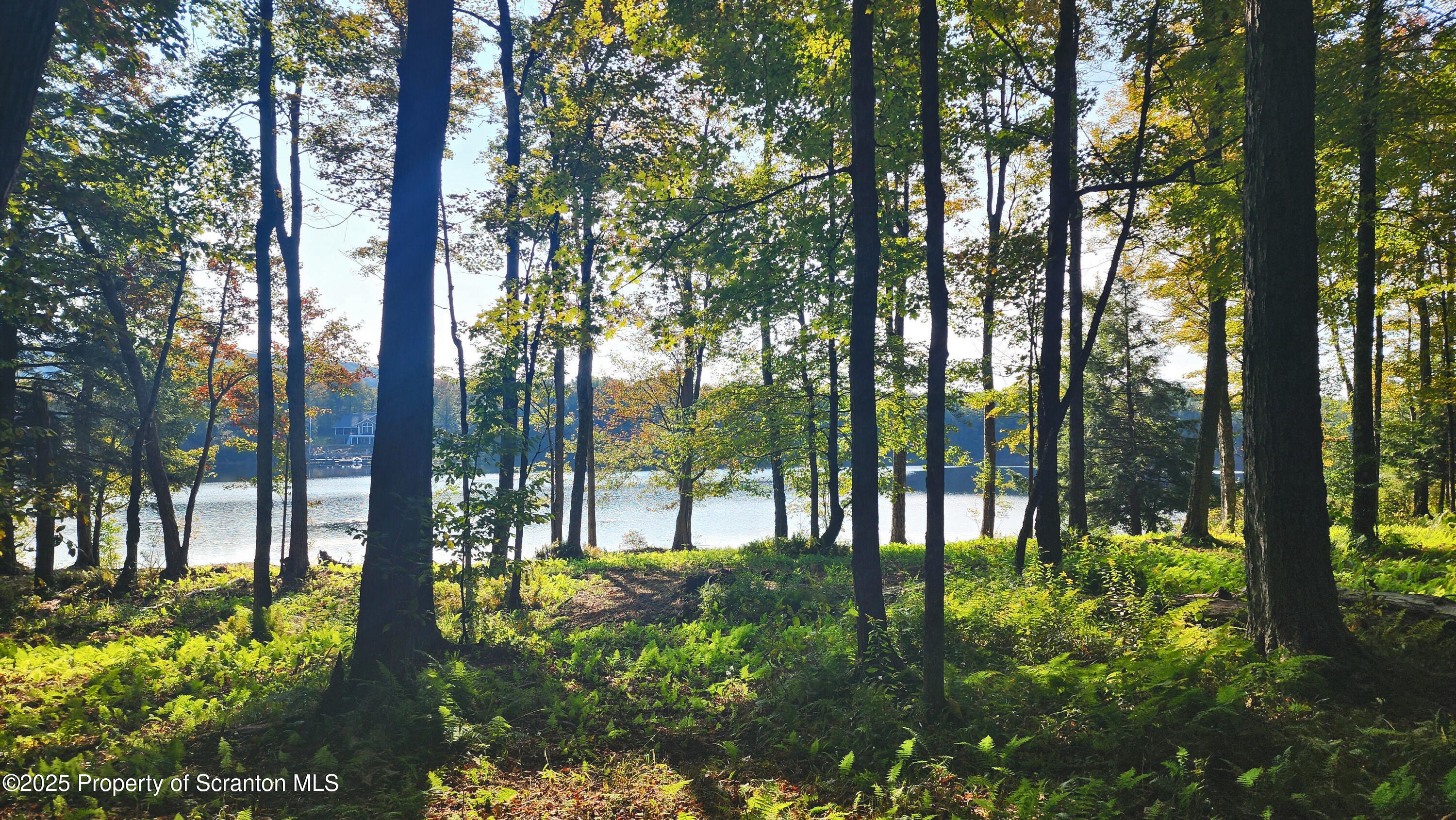 Lot 2 Dunn Lane Thompson, PA 18465 - Photo 4 of 23 Wooded & level