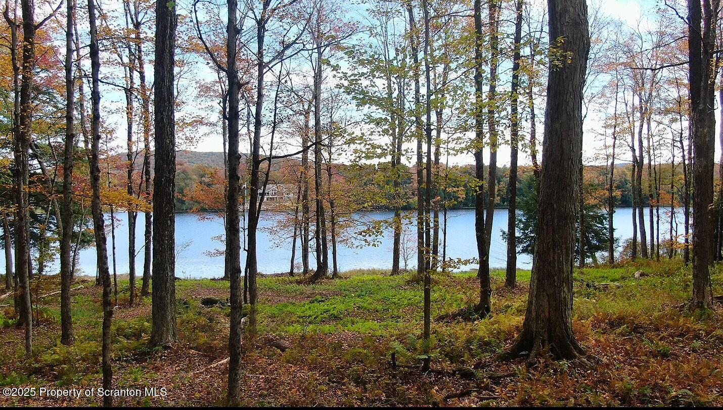 Lot 2 Dunn Lane Thompson, PA 18465 - Photo 9 of 23 lakefront view in fall