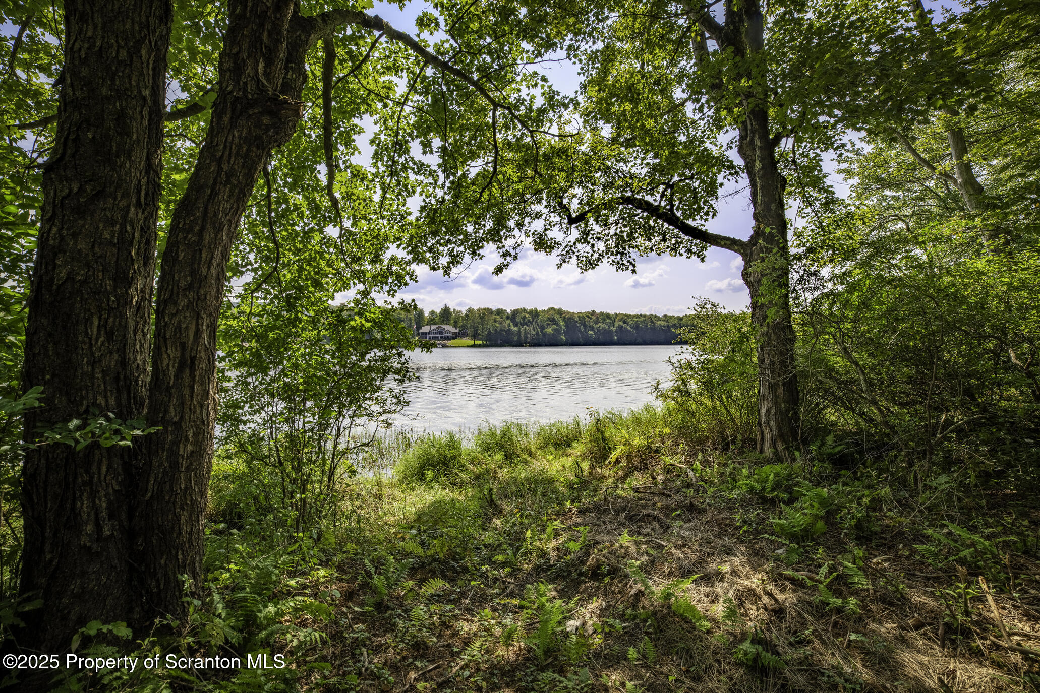 Lot 2 Dunn Lane Thompson, PA 18465 - Photo 10 of 23 Lot 2C lakefront