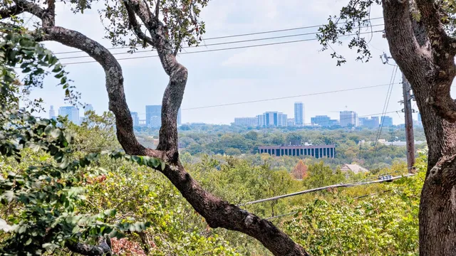 a view of a lake with a large trees