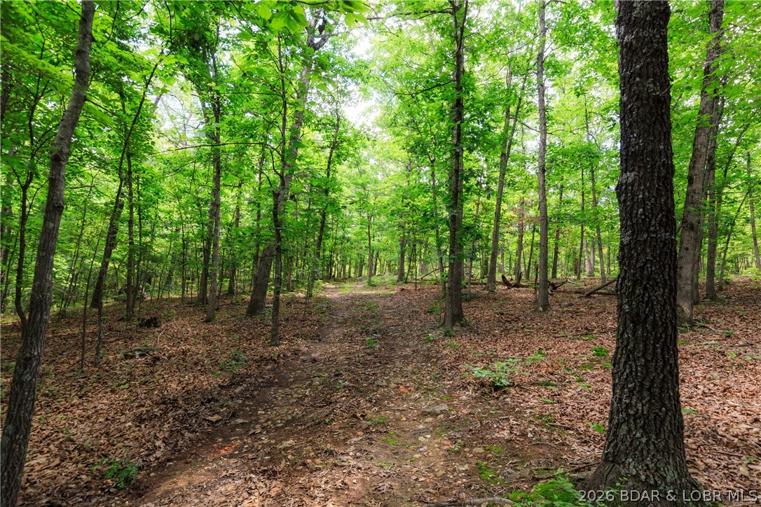 400 Hidden Acres Road Camdenton, MO 65020 - Photo 26 of 39