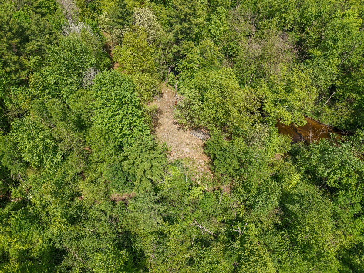 Parcel B West County Line Road Gowen, MI 49326 - Photo 11 of 15 15325-Montcalm_208