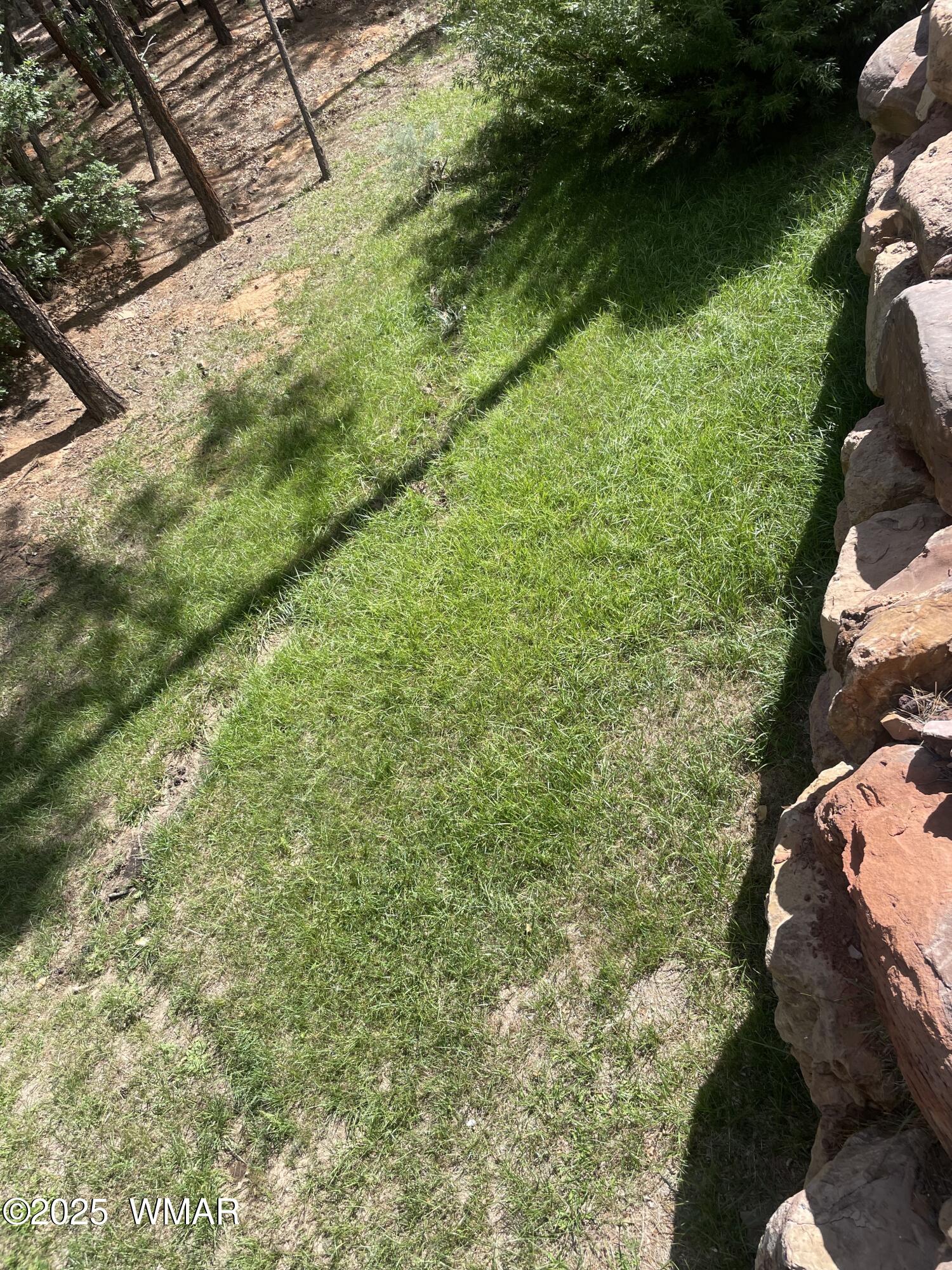 3880 South Mule Skinner Loop Show Low, AZ 85901 - Photo 17 of 23 Backyard with lots of options