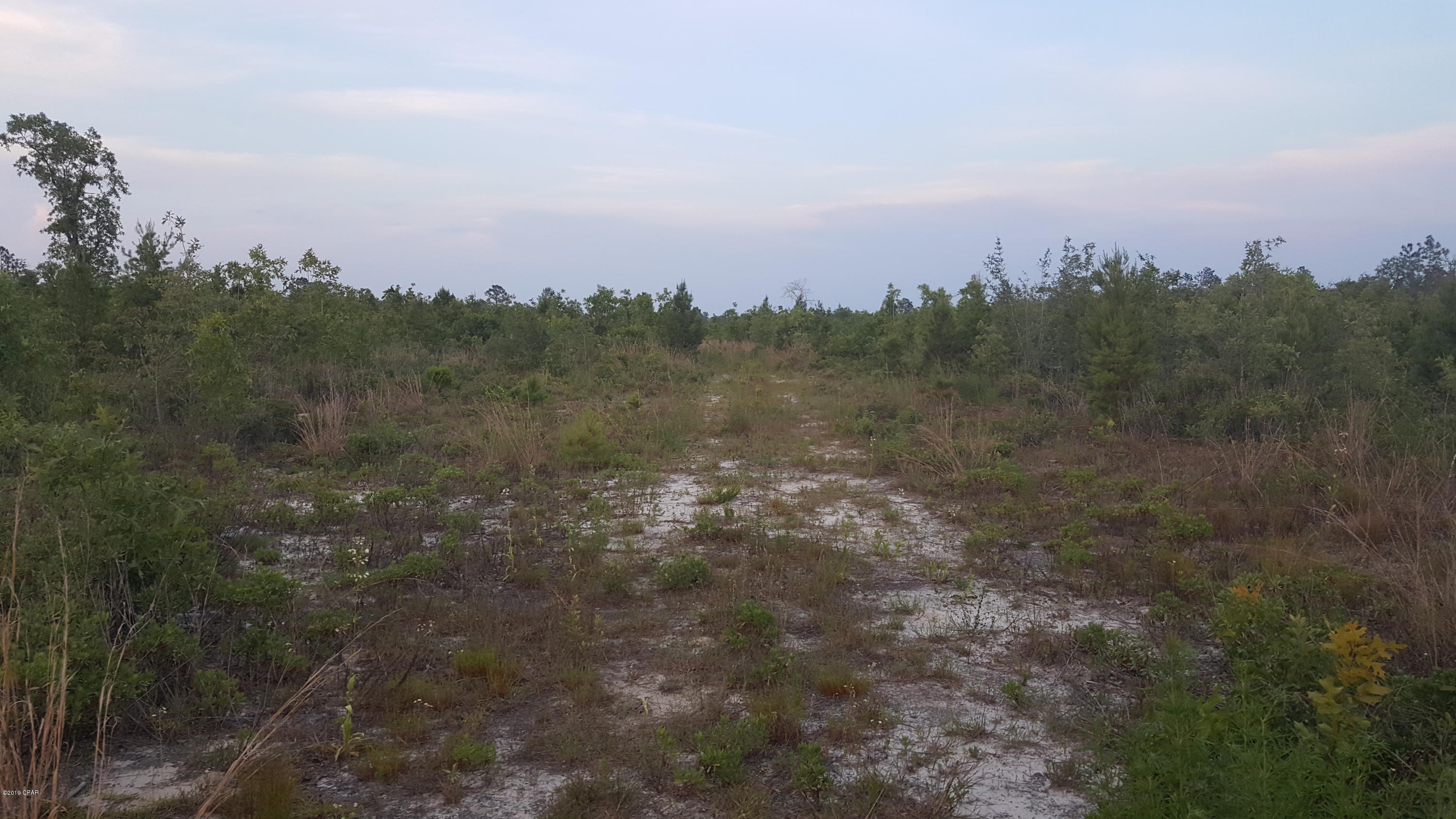 15 Northwest Porter Grade Road Altha, FL 32421 - Photo 1 of 12 Gallery Image 1
