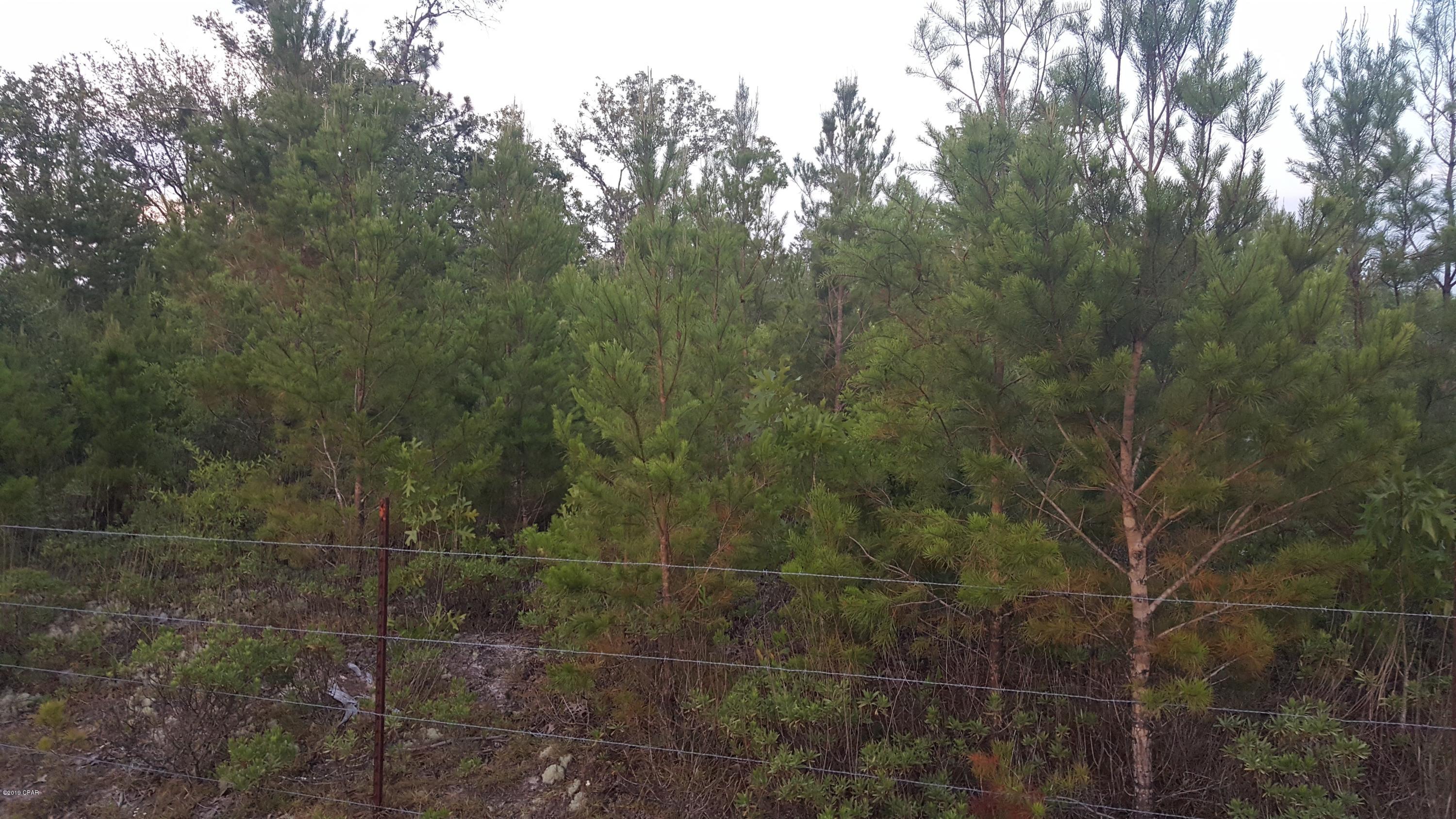 15 Northwest Porter Grade Road Altha, FL 32421 - Photo 11 of 12 Gallery Image 11