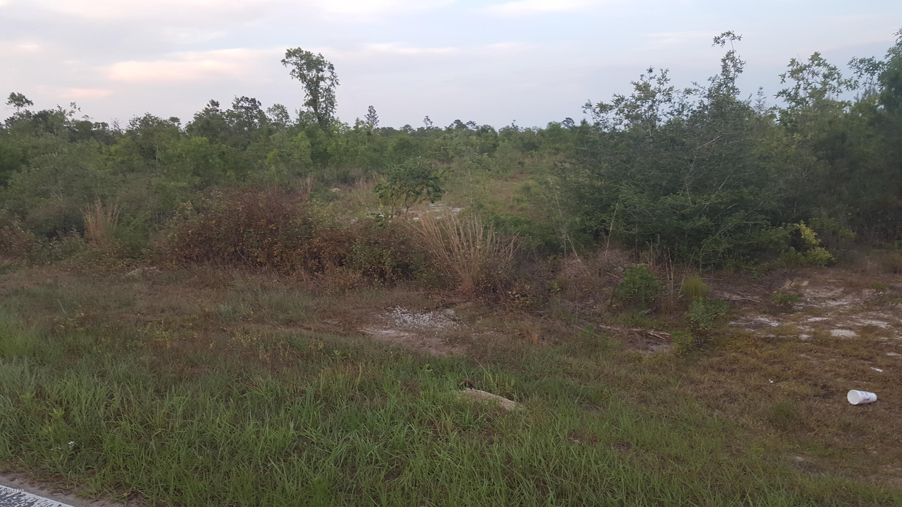 15 Northwest Porter Grade Road Altha, FL 32421 - Photo 4 of 12 Gallery Image 4