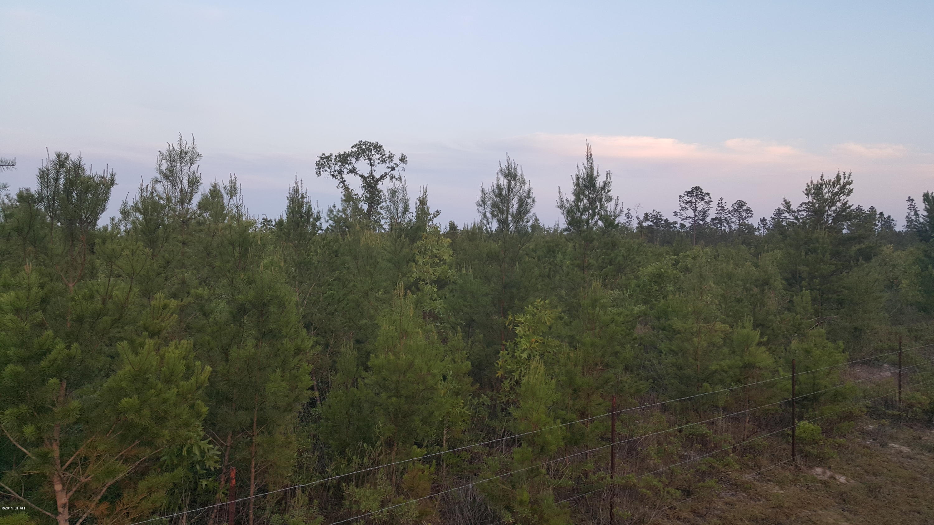 15 Northwest Porter Grade Road Altha, FL 32421 - Photo 5 of 12 Gallery Image 5